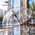 CKAVESIA™ Crystal View Umbrella